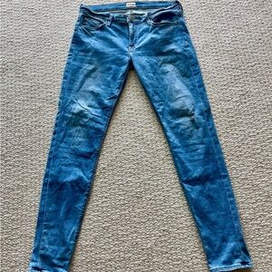 Hudson Jeans Blue Skinny Denim